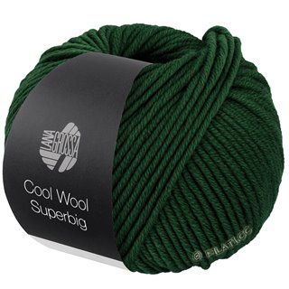 Lana Grossa COOL WOOL Superbig