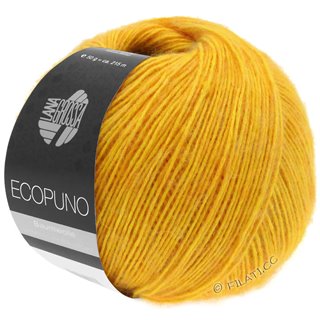 Lana Grossa ECOPUNO