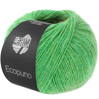 Lana Grossa ECOPUNO