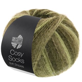 Lana Grossa MEILENWEIT 100g Cosy Socks Soft Stripes